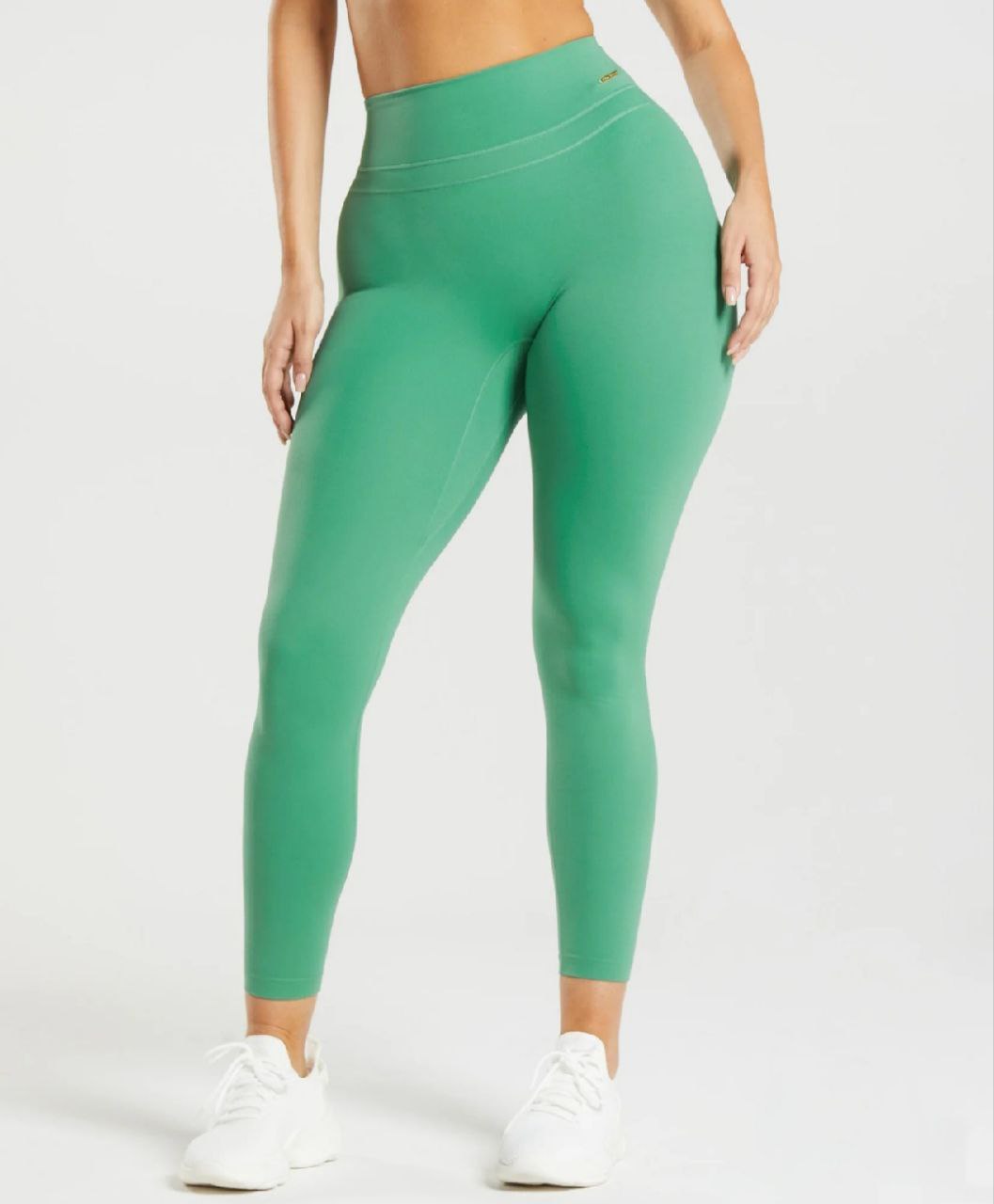 Gymshark Whitney Simmons Hight Rise Leggings